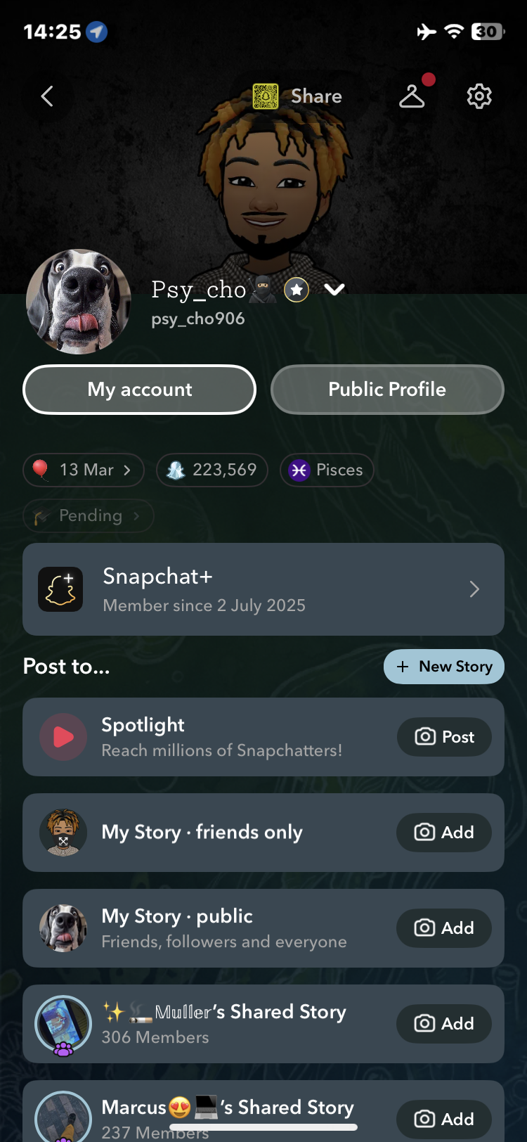 Psy_cho906